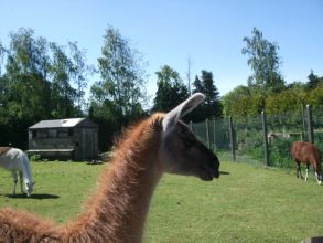 Reception, P1-P3 School Trip to Fort Evergreen, Warrenpoint